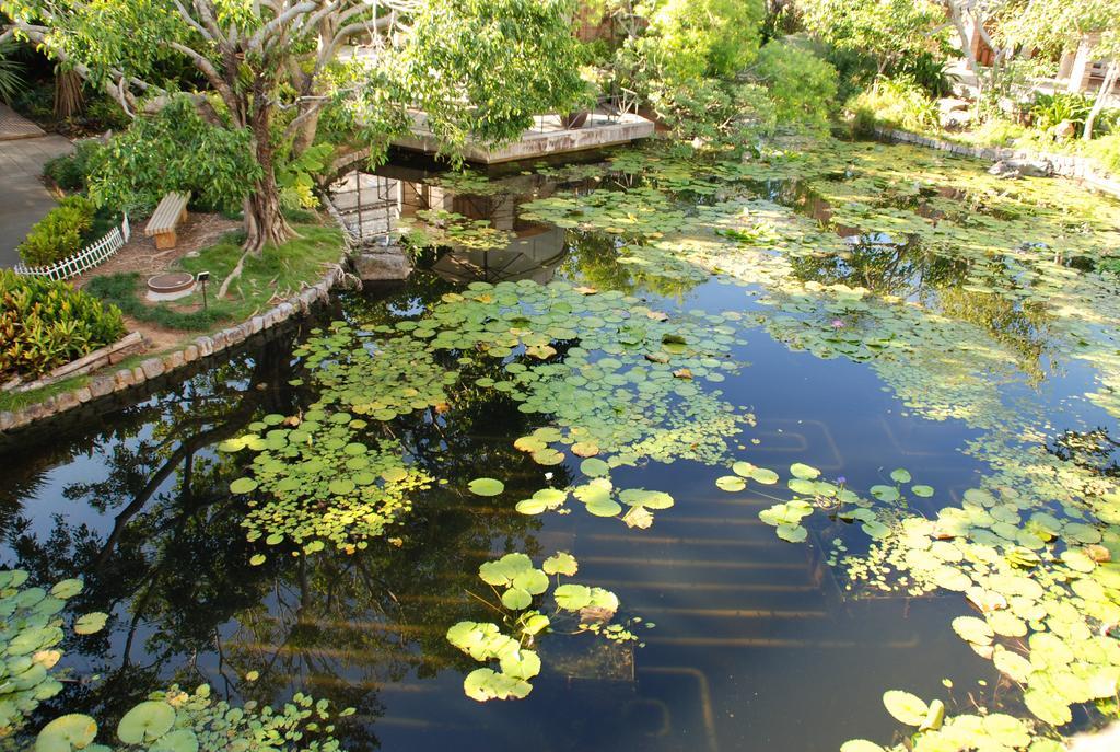 YukurinaResort Okinawa Hills Churaumi Motobu Exterior foto